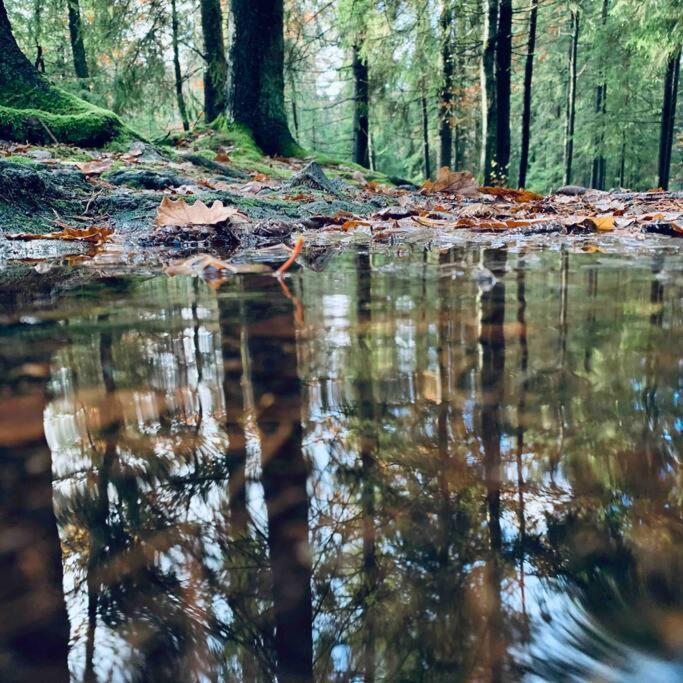 Panoramavy Naera Gbg Och Natur Olofstorp エクステリア 写真
