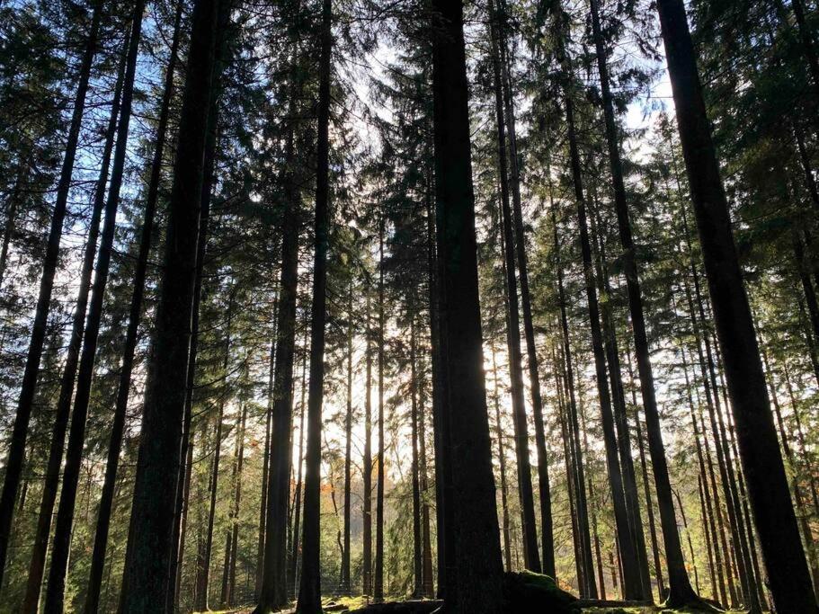 Panoramavy Naera Gbg Och Natur Olofstorp エクステリア 写真