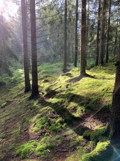Panoramavy Naera Gbg Och Natur Olofstorp エクステリア 写真